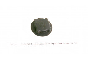 Крышка расширительного бачка
